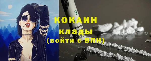 спайс Баксан