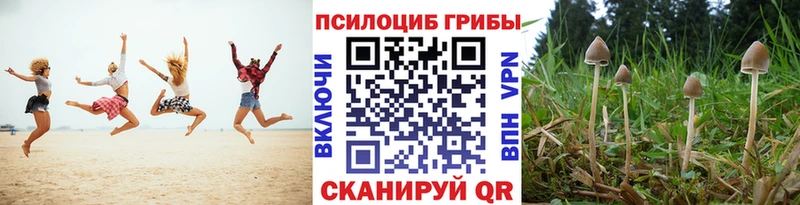 Псилоцибиновые грибы мицелий  Новая Ляля 